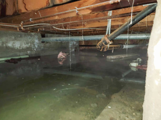 Best Emergency water damage restoration  in Huntingdon, PA