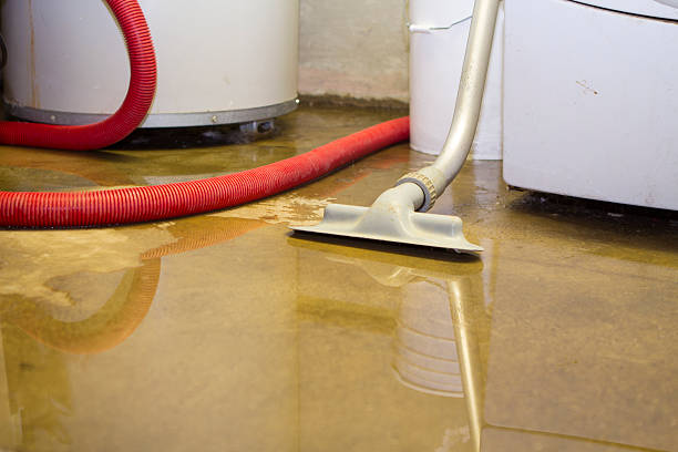 Best Water damage restoration near me  in Huntingdon, PA