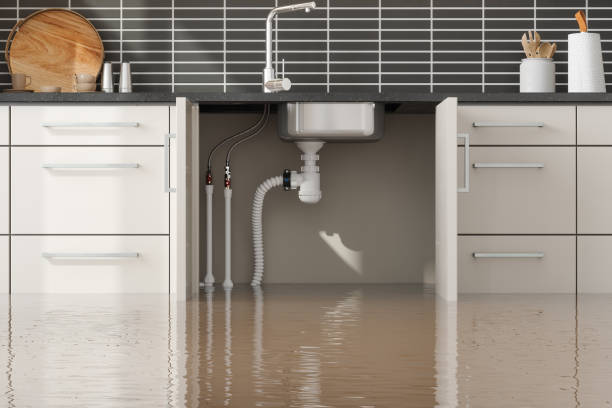 Best Water damage cleanup near me  in Huntingdon, PA
